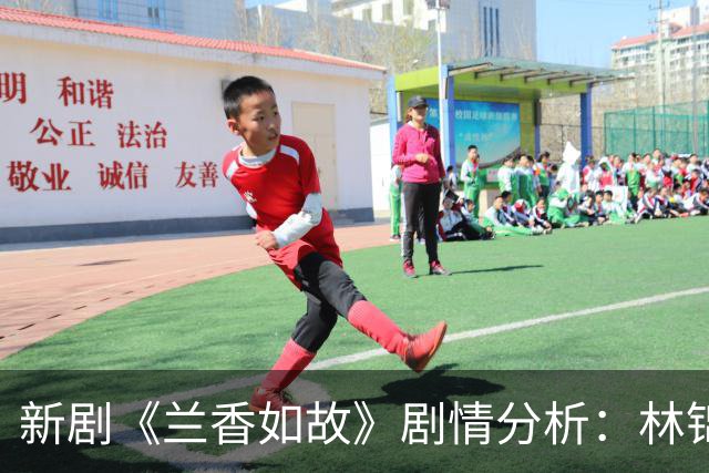 新剧《兰香如故》剧情分析：林锦岐的爱恋初现端倪，夫妻携手应对危机